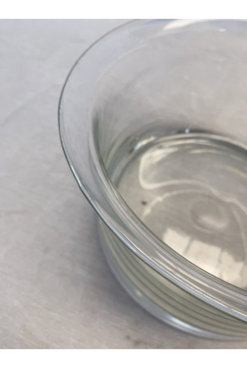 Holmegaard glas skål